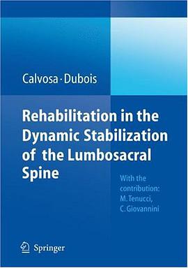 Rehabilitation in the Dynamic Stabilization of the Lumbosacral Spine pdf epub mobi 电子书 下载