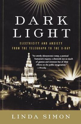 Dark Light pdf epub mobi 电子书 下载