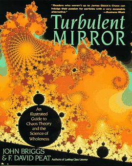 Turbulent Mirror pdf epub mobi 电子书 下载