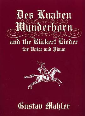 467 348-2MAHLER:DESKNBEN… (马勒:《少年的魔号》… )(CD) pdf epub mobi 下载