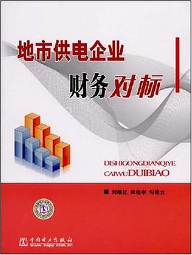地市供电企业财务对标 pdf epub mobi 电子书 下载