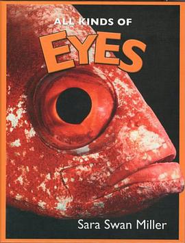 All Kinds of Eyes pdf epub mobi 电子书 下载