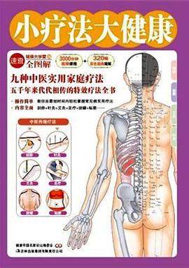 小疗法大健康 pdf epub mobi 电子书 下载