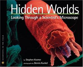Hidden Worlds