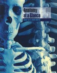 解剖学一览 Anatomy at a Glance