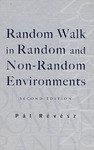 Random Walk in Random and Non-Random Environments pdf epub mobi 下载