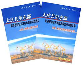 大庆长垣东部低渗透油田开发技术探索与实践文集（上下册）