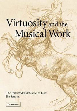 Virtuosity and the Musical Work pdf epub mobi 电子书 下载