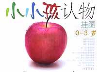 小小孩認物掛圖 pdf epub mobi 電子書 下載