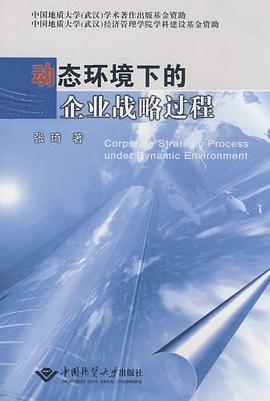 动态环境下的企业战略过程 pdf epub mobi 电子书 下载