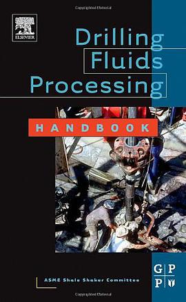 The Drilling Fluids Processing Handbook pdf epub mobi 电子书 下载