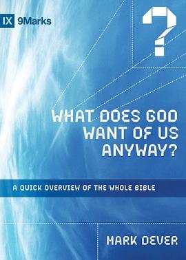 What Does God Want of Us Anyway? pdf epub mobi 电子书 下载