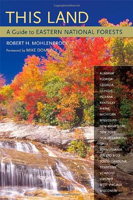 This Land pdf epub mobi 电子书 下载