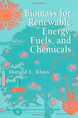 Biomass for Renewable Energy, Fuels, and Chemicals pdf epub mobi 电子书 下载