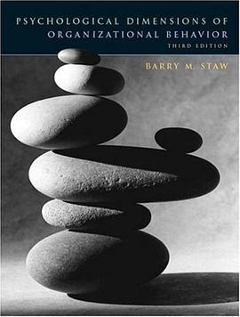 Psychological Dimensions of Organizational Behavior (3rd Edition) pdf epub mobi 电子书 下载