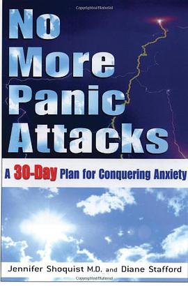 No More Panic Attacks pdf epub mobi 电子书 下载