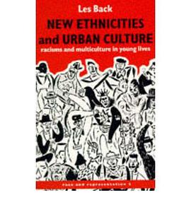 New Ethnicities And Urban Culture pdf epub mobi 电子书 下载