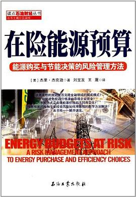 讀點石油財經叢書 在險能源預算 pdf epub mobi 電子書 下載