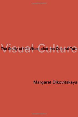 Visual Culture pdf epub mobi 电子书 下载