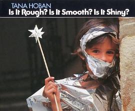 Is It Rough? Is It Smooth? Is It Shiny? pdf epub mobi 電子書 下載