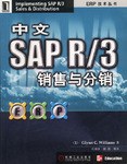 中文SAP R/3销售与分销 pdf epub mobi 电子书 下载