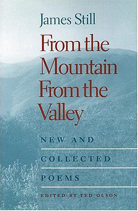 From the Mountain, from the Valley pdf epub mobi 电子书 下载