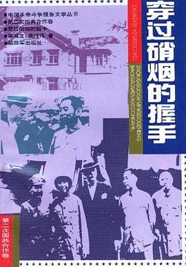 穿过硝烟的握手 pdf epub mobi 电子书 下载