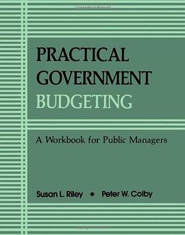 Practical Government Budgeting pdf epub mobi 电子书 下载