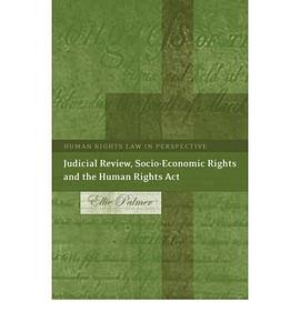 Judicial Review, Socio-economic Rights And the Human Rights Act pdf epub mobi 电子书 下载