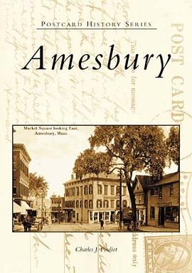 Amesbury pdf epub mobi 电子书 下载