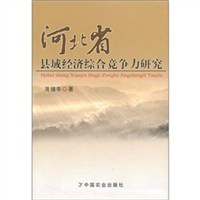 河北省县域经济综合竞争力研究 pdf epub mobi 电子书 下载