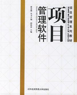 项目管理软件 pdf epub mobi 电子书 下载