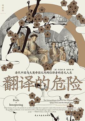 翻译的危险 pdf epub mobi 电子书 下载