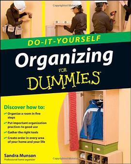 Do-It-Yourself Organizing for Dummies pdf epub mobi 电子书 下载