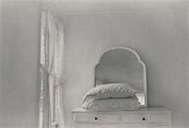 Revealing Light pdf epub mobi 电子书 下载