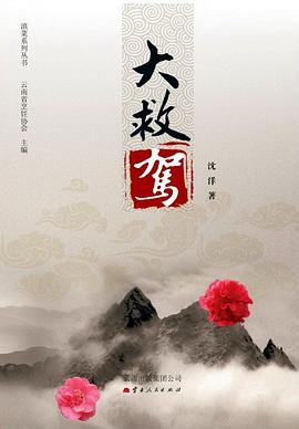大救驾 pdf epub mobi 电子书 下载