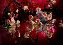 MARGRIET SMULDERS: GET DRUNK! pdf epub mobi 电子书 下载