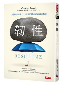韌性 pdf epub mobi 电子书 下载
