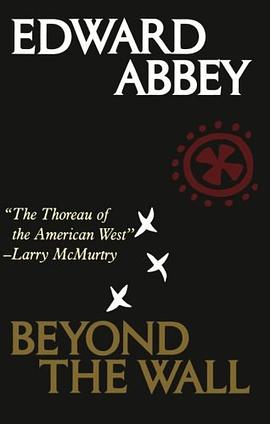 Beyond the Wall pdf epub mobi 下载