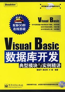 Visual Basic数据库开发典型模块与实例精讲 pdf epub mobi 电子书 下载