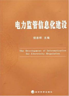 电力监管信息化建设