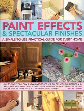 Paint Effects and Spectacular Finishes