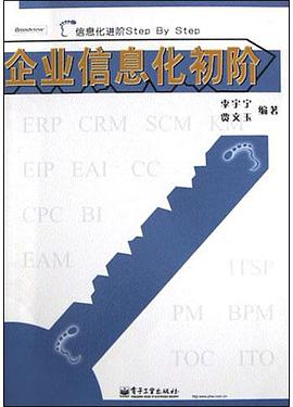 企业信息化初阶 pdf epub mobi 电子书 下载