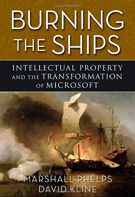 Burning the Ships pdf epub mobi 电子书 下载