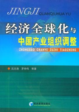 经济全球化与中国产业组织调整 pdf epub mobi 电子书 下载