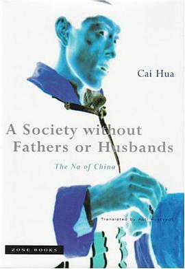 A Society without Fathers or Husbands pdf epub mobi 电子书 下载