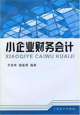小企业财务会计 pdf epub mobi 电子书 下载