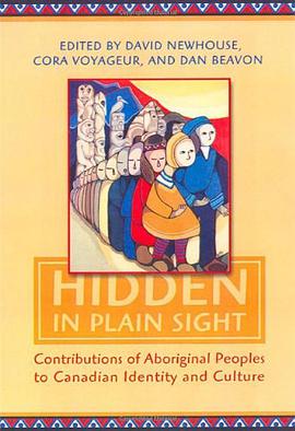 Hidden in Plain Sight pdf epub mobi 电子书 下载