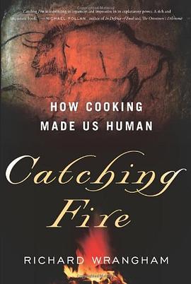 Catching Fire pdf epub mobi 电子书 下载