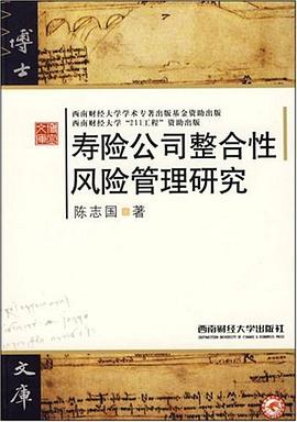 寿险公司整合性风险管理研究 pdf epub mobi 电子书 下载